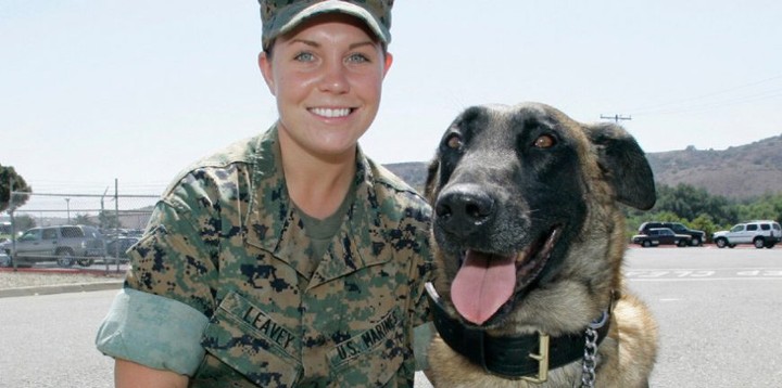 Megan a Rex v skutočnosti